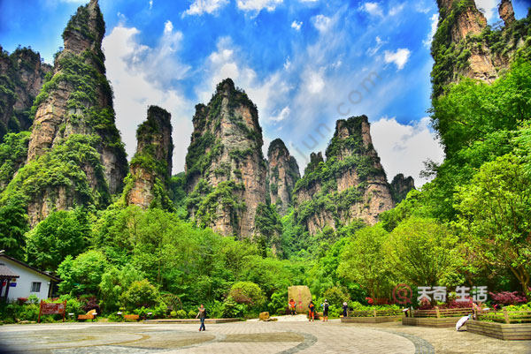 what is included in the zhangjiajie grand ticket