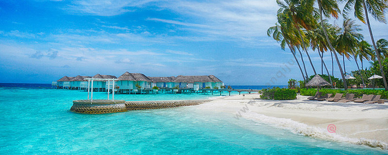 full moon island maldives has a few stars