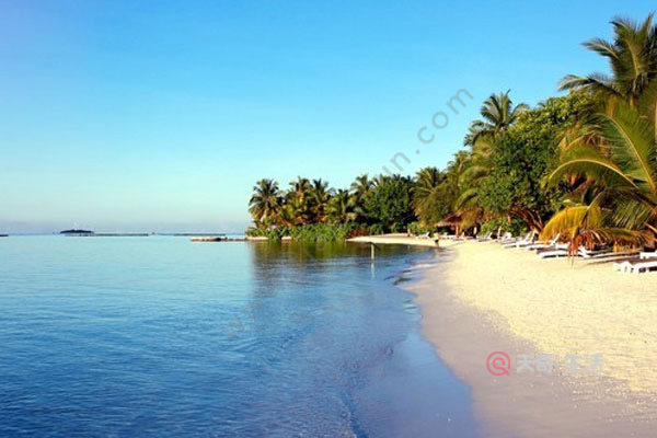 full moon island maldives has a few stars